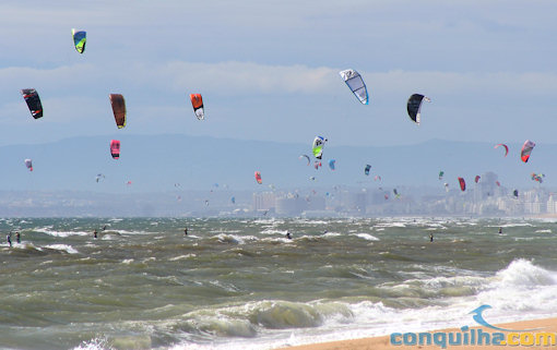 downwind-faro-2009
